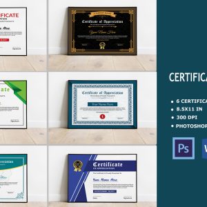 6 Bundle Certificate Template