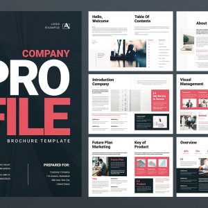 Company Profile Template InDesign Magazine Template