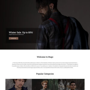 Hugo WordPress Theme • CSSIgniter